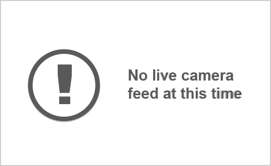 Traffic Cam Hwy 16: East of the Jasper Park Gate